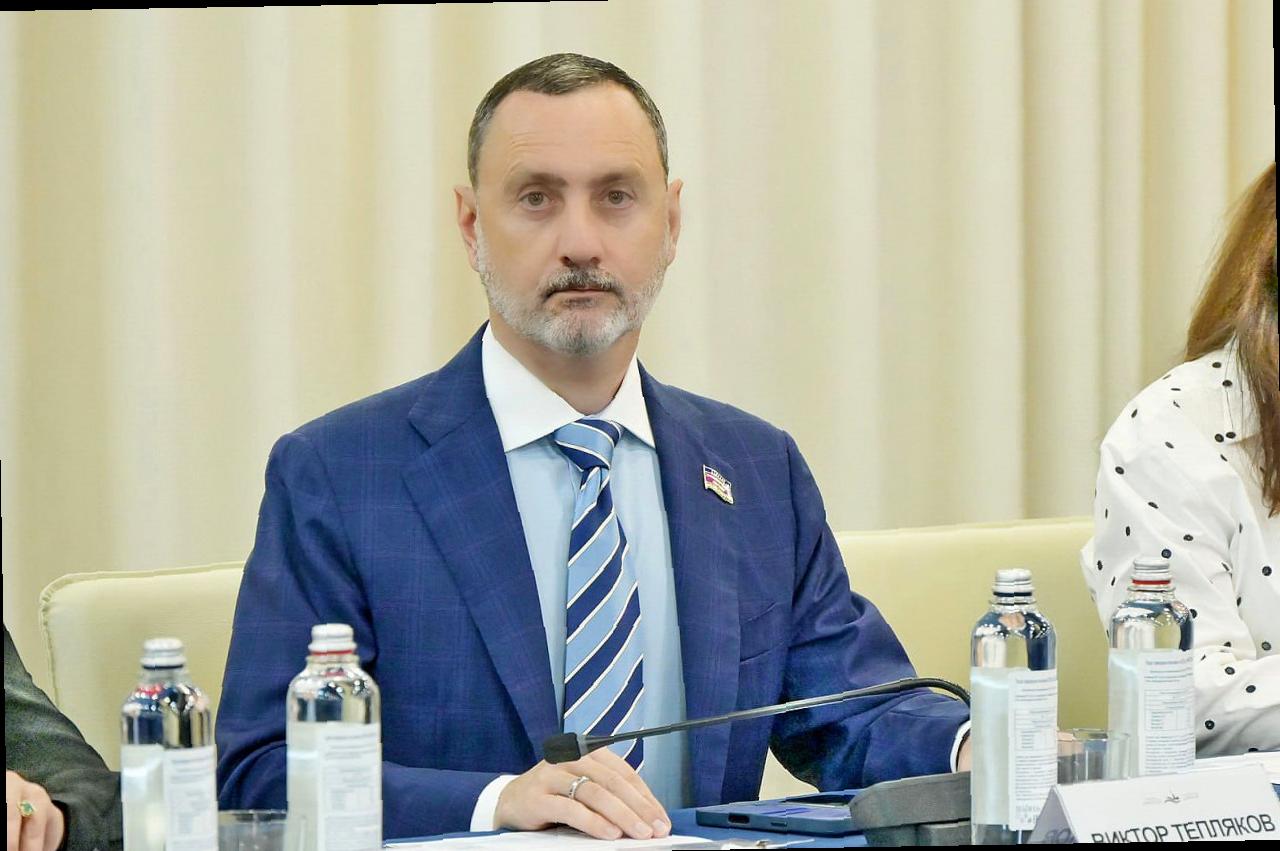 Участие Виктора Теплякова в работе группы СМИ форума «Петербургский диалог»